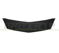 Prasco RN9182001 Grille de radiateur