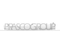 PRASCO SB7042213 Baguette de calandre