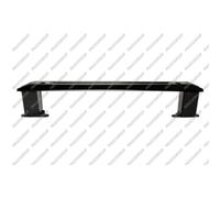 Prasco Support Pare-Chocs Arrière Partie Centrale Pour Fiat 500L 199_ FT0401672