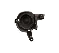 PRASCO TY2911250 Cache antibrouillard Gauche noir