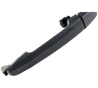 Poignée De Porte LM1095Q 692110D070