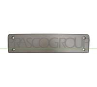Prasco VG0551539 - Support de Plaque d'immatriculation