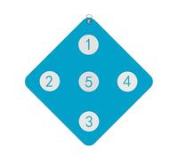 Pratique De L', Équipement De Formation sur L',Pratique des Clôtures Murales - Outil Auxiliasire À Domicile, Jeux D'équispement avec Cinq Yeux De Taure