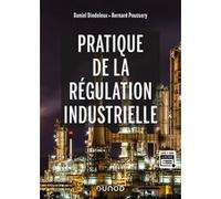 Pratique de la régulation industrielle Daniel Dindeleux (Auteur), Bernard Poussery (Auteur)