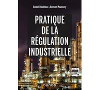 Pratique de la régulation industrielle - Daniel Dindeleux - Dunod - broché - Scolaire / Universitaire