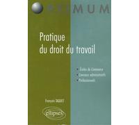 Pratique Du Droit Du Travail
