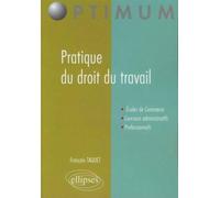 Pratique du droit du travail - François Taquet - Ellipses - broché - Etude