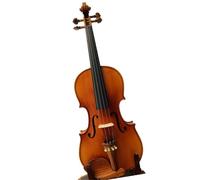 Pratique du violon Pièces en palissandre Violon 4/4 Flamme Back Pièces en ébène(4/4)