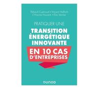 Pratiquer Une Transition Énergétique Innovante En 10 Cas D'entreprise