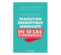Pratiquer une transition énergétique innovante en 10 cas d'entreprise