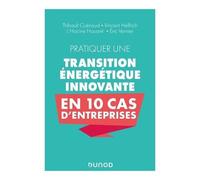 Pratiquer Une Transition Énergétique Innovante En 10 Cas D'entreprise