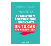 Pratiquer une transition énergétique innovante en 10 cas d'entreprise - Eric Vernier - Dunod - broché - Guide