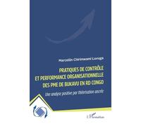 Pratiques De Contrôle Et Performance Organisationnelle Des Pme De Bukavu En Rd Congo - Une Analyse Positive Par Théorisation Ancrée