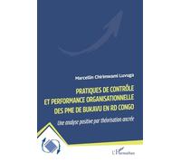 Pratiques de contrôle et performance organisationnelle des PME de Bukavu en RD Congo: Une analyse positive par théorisation ancrée