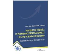 Pratiques De Contrôle Et Performance Organisationnelle Des Pme De Bukavu En Rd Congo - Une Analyse Positive Par Théorisation Ancrée