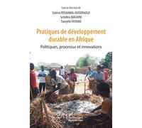 Pratiques de développement durable en Afrique Politiques, processus et innovations - Bowendsom Claudine Valérie Rouamba-Ouedraogo - L'harmattan - broché - Etude