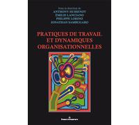 Pratiques de travail et dynamiques organisationnelles - Anthony Hussenot - Hermann - broché - Guide