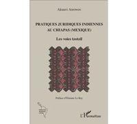 Pratiques juridiques indiennes au Chiapas (Mexique) Akuavi Adonon (Auteur)