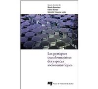 Pratiques transformatrices des espaces socionumeriques MAUDE BONNENFAN (Auteur)