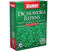 PRATO DICHONDRA REPENS BLUMEN 500G