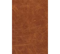 Prayer Book: A Daily Walkthrough of Prayer