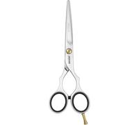 Pre Style Ergo P 6.0" Ciseaux De Coiffure Au Design Classique Poli Fabriqué En Allemagne[Cis6160147]