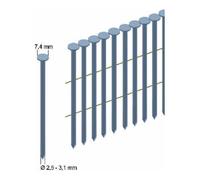 PREBENA Prebena Clous tête ronde, 3000 pcs RK31/65BK Quantité:1