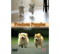 Precious Puppies [Import]