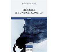 Précipice est un nom commun - Julien Saint-Huile - Verone Eds - broché - Roman