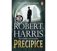 Precipice: The thrilling new novel from the Sunday Times bestseller