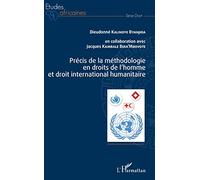 L'Harmattan – Précis de la méthodologie en droits de l'homme et droit international humanitaire