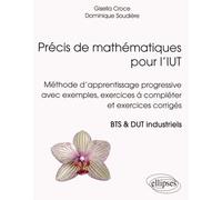 Précis De Mathématiques Pour L'iut - Méthode D'apprentissage Progressive Avec Exemples, Exercices À Compléter Et Exercices Corrigés, Bts & Dut Industriels