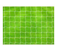 Precision But De Football Professionnel 4 Mm