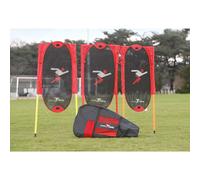 Precision Ensemble Freekick