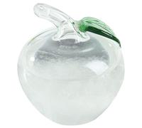 Précision météo du verre de tempête, verre météo en forme de pomme, mini prédicteur météo poli, baromètre de prédicteur météo Station météorologique pour bureau de bureau décoratif