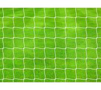 Precision - Tressé - Filet de football "Pro" lot de 2 - polypropylène, fil RD3228 (213,36 cm x 487,68 cm) (Blanc)