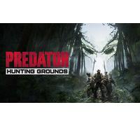 PREDATOR: HUNTING GROUNDS (PS4)