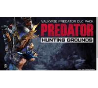 Predator Hunting Grounds Valkyrie Predator Pack (PC)