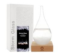 Prédicteur météo en verre - Boule à neige de Noël - Baromètre en verre - Bouteilles décoratives en verre pour la maison et le bureau - Cadeaux uniques de Noël pour elle (S)