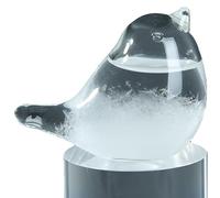 Prédicteur Météo En Verre Tempête Robin, Baromètre Prévisionniste De Stations Météorologiques for Cadeaux De Saint-Valentin, Cadeau Unique for Anniversaire, Bouteilles Baromètre En Cristal(Look up)