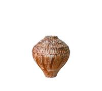 predolo 2 Pièces Vase Style Simplicité Surface Texturée Vase Rustic Elegance Fini Marbré Décoration pour Bureau, 23 X 23 X H26 Cm