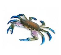 predolo 4 Pièces Figurine de Crabe avec Texture Précise et Finition Artisanale pour Jeu D'Apprentissage et Identification Des Espèces pour Étude En t, 2 pièces