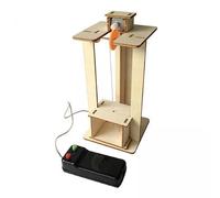 predolo Ascenseur Électrique Jouet de Construction En Bois Science Expérimentale pour Enfants Assemblage Créatif Modèle Éducatif Technologique Cadeau de, 2 pièces