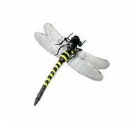 predolo Libellule Répulsive Broche Épingle Pendentif Plastique Imitation Naturelle Dissuasion en Plein Air avec Attaches Épingle Lanière Clip pour Chapeau Sac, L, Épingle+Sûreté