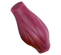 predolo Modèle de tissu musculaire scientifique, intuitif et facile à transporter, modèle d'anatomie, outil pédagogique pour étudiants en