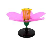 predolo Modèle Pédagogique Fleur Pêcher Autoportant pr Professeurs Sciences