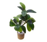 predolo Plante Miniature pour Maison de Poupée à L'échelle 1:6, Plante Verte, Artificielle Verte, Décoration de, Accessoire pour Mai