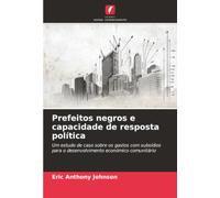 Prefeitos negros e capacidade de resposta política: Um estudo de caso sobre os gastos com subsídios para o desenvolvimento económico comunitário