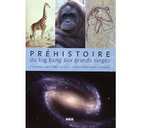 Préhistoire: Du Big bang aux grands singes