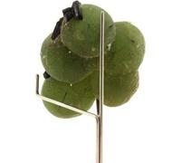 Prehnite + épidote 483,0 carat(s)